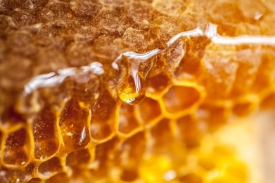 Cheap - and sometimes adulterated - imports are undercutting the European honey industry, Copa Cogeca warns / Pic: GettyImages-Recebin