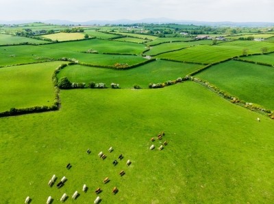 Will Ireland's agri-environmental programme support the sector's green transition? / Pic: GettyImages MNStudio 