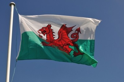 The FSA will discuss the BTOM from a Welsh perspective. Source: Alasdair James/Getty Images