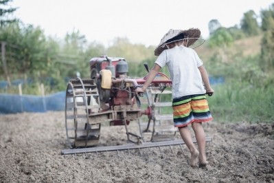 Companies will be required to identify and account for their impact on human rights – including forced and child labour, forced evictions, oil pollution, and land grabbing – across overseas suppliers. GettyImages/Tinnakorn Jorruang