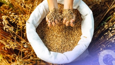 Oat ingredients for functional foods, sports nutrition and meal replacement