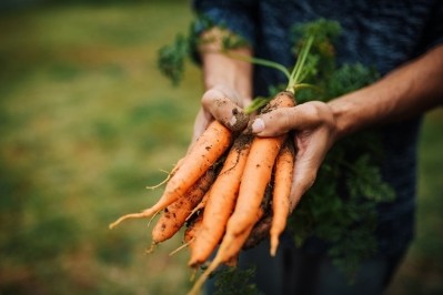 Fighting food waste is one of the most impactful ways we can help to prevent climate change. Now researchers at the University of Bath say they’ve found a way of keeping veggies fresh all the way to our fork. GettyImages/Vasil Dimitrov