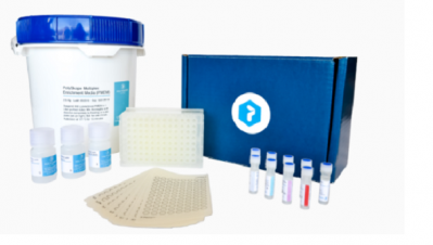Multiplex RT-PCR test kits for detection of pathogens. Picture: Polyskope Labs