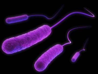 E. coli Picture: iStock/Sebastian Kaulitzki