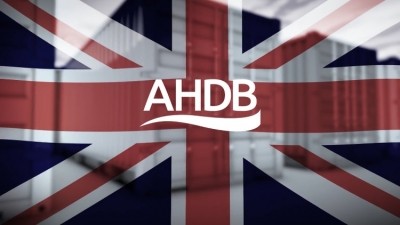 AHDB export conference to discuss global opportunities