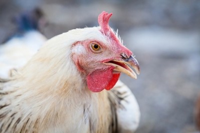 Japan lifts Bulgarian poultry ban