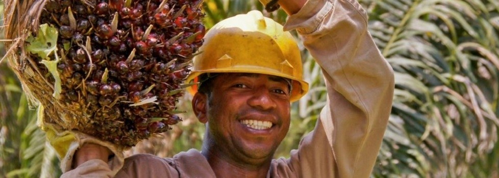 Sustainable palm oil is on everybody’s lips