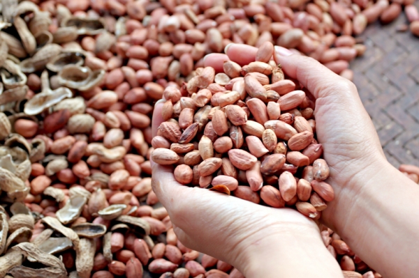 One major European nut processor, for example, changed its supply 60-70 times per year