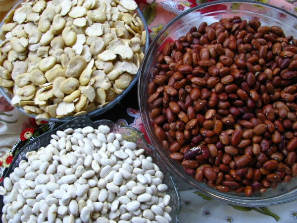 pulses, protein, beans