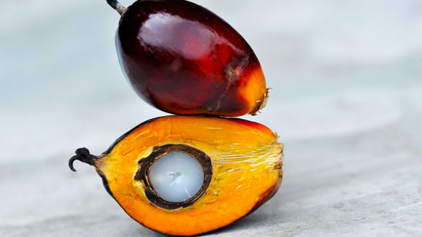 Palm oil - Clariant