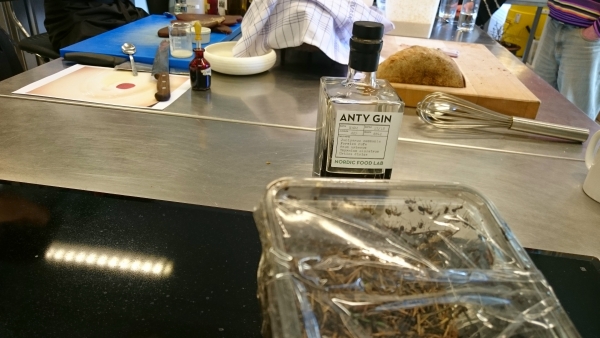 anty gin and ants