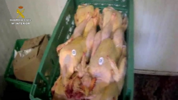 The Guardia Civil found crates of poultry that appeared not to be chilled