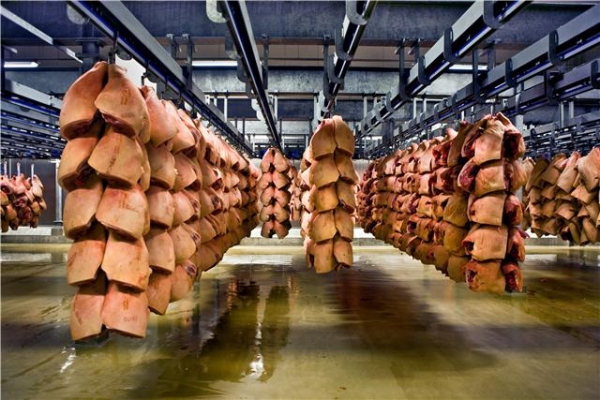 Danish Crown is one of the world's largest pork exporters