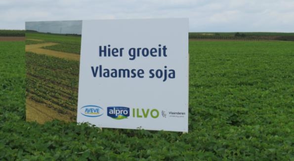 Alpro converting Flemish soy for the food sector as part of its drive to boost European saucing in 2017