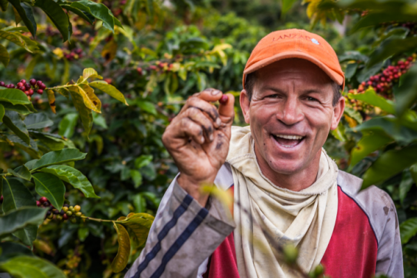 Un agriculteur colombien montrant une cerise de café Pic-Nestlé