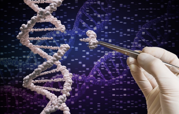 GettyImages-vchal gene editing CRISPR