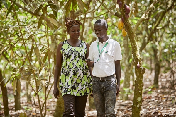Olam Cocoa Ghana - OFIS  - Cocoa Farm GPS Mapping
