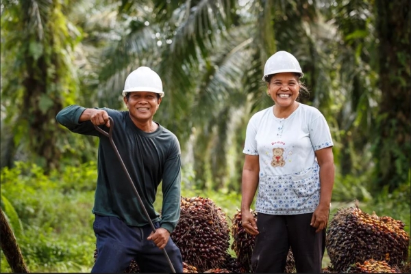 Palm Oil Smallholders