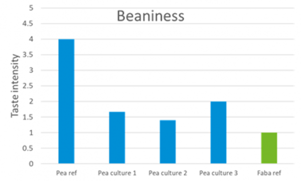 Perceived “beany” taste of pea proteins before fermentation (ref) and after fermentation with various cultures - NIZO