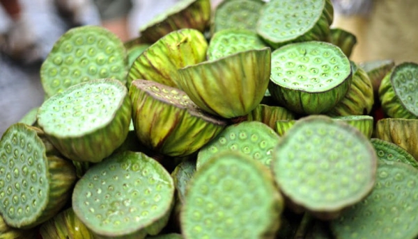 TL works with farming communities to directly source its lotus seeds