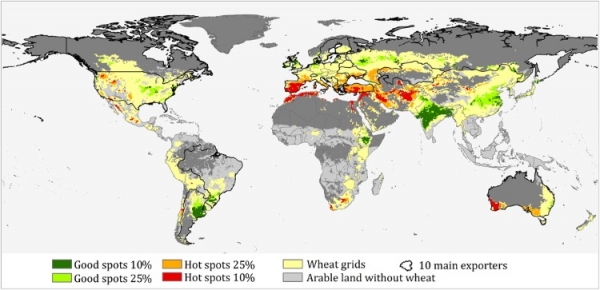 Wheat climate change