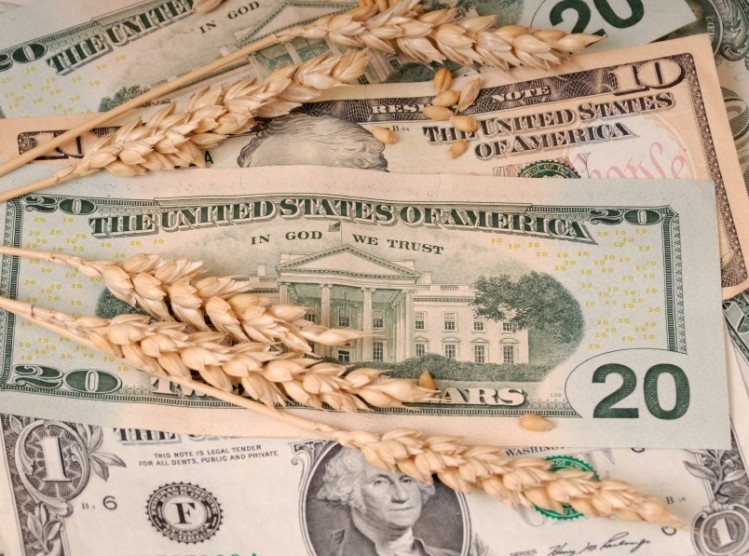 USDA notes an 11% drop in global wheat trade