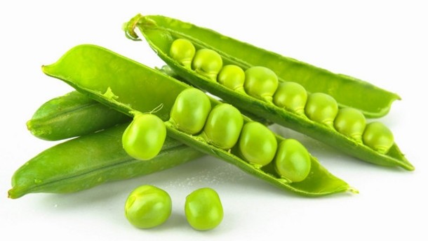Pea protein: From fringe to mainstream?