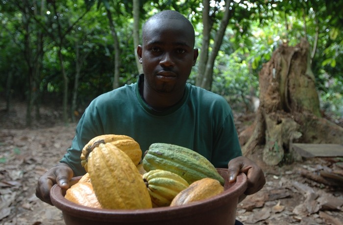 Ivory Coast cocoa farmer