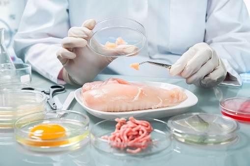 Meat without murder: the lab-grown chicken breast could be ready in under two years
