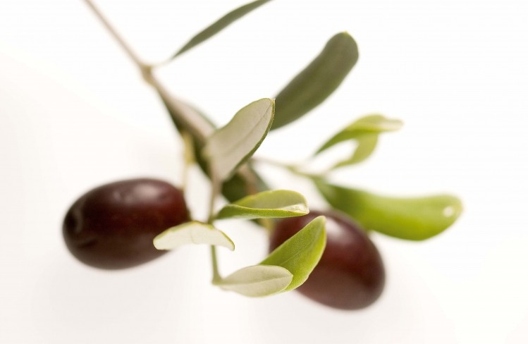 Could the smell of olive oil increase feelings of satiety?