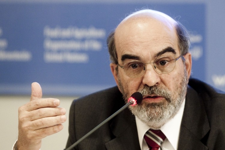 Food security must lie at the heart of the battle against climate change and sustainable development, said the FAO chief.