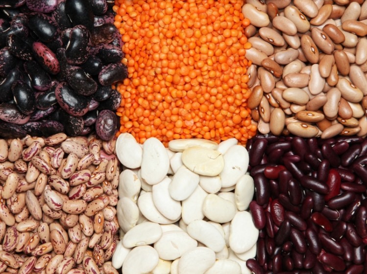 'Pulses' nutritional value is not generally recognised': FAO director general