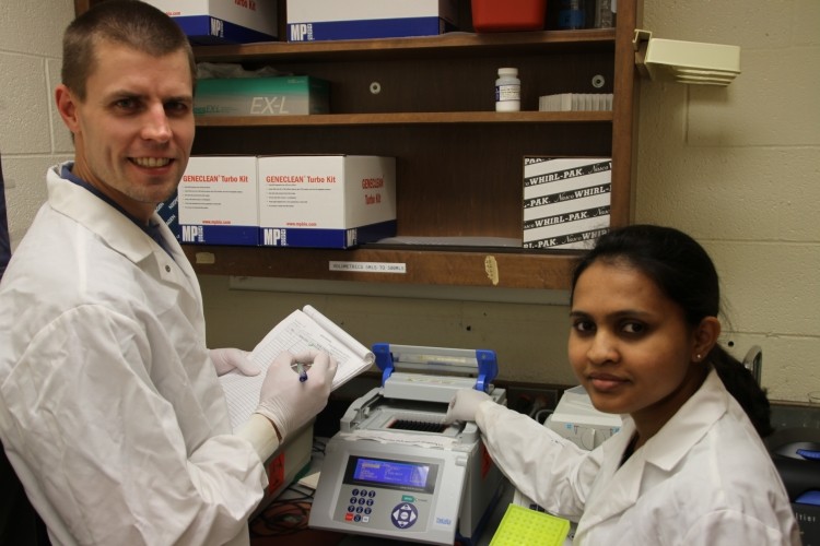Lance Noll and Pragathi Shridhar working on Real-Time PCR for the six non-O157 STEC