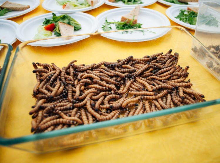 BfR: 'Insects as a source of food is arousing more and more public interest, so it is important to clarify how safe these foods are.' ©iStock
