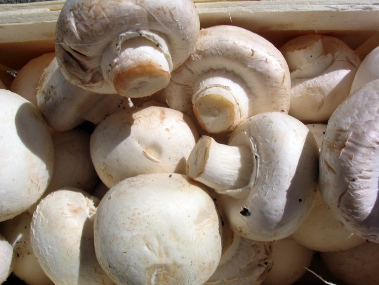 Salt reduction beyond potassium chloride: Scelta touts mushrooms for low-salt bread
