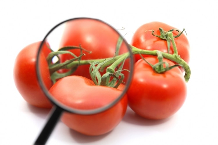 LycoRed is conducting continuous research into the health benefits of tomato extract