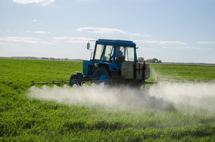 The findings 'complement' rather than 'contradict' IARC's conclusion that glyphosate probably causes cancer, says WHO - but will the report influence the EU's vote tomorrow on whether to renew the controversial pesticide? © iStock