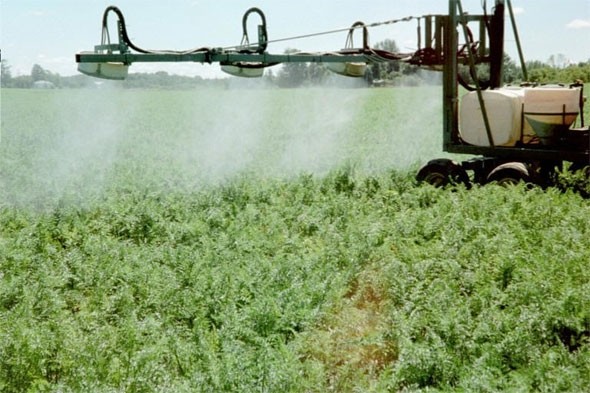 Reduced pesticide residues found in European food – EFSA