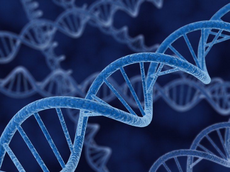 The Biotecon Diagnostics system delivers much purer DNA sampling