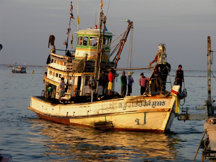 Nestlé praised for tackling labour abuses in the Thai fishing industry such as “job seekers being trafficked for labour, or sold to boat captains”. Image: Flickr/SeaDave