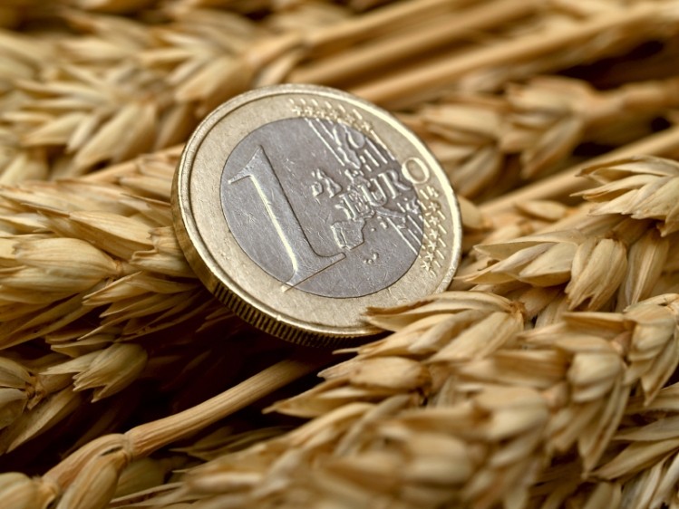 As a result of heatwaves and drought in various regions EU cereal production is likely to be slightly below average in 2017-2018 for the second year running, slowing down EU exports and tightening EU stocks. ©iStock