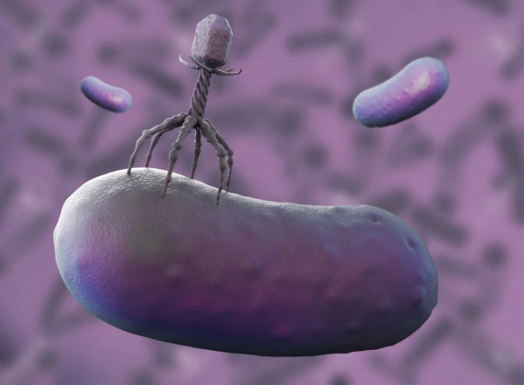 Intralytix: Investment allows us to enhance R&D programs, add high throughput robotic tech and expand phage production capabilities. Picture: ©iStock/arinarici 