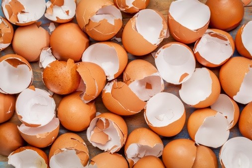 Millions of eggs have been recalled across Europe amid contamination fears