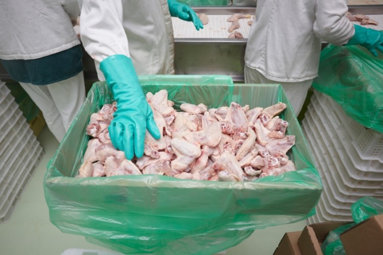 FSA welcomed signs of progress on Campylobacter 