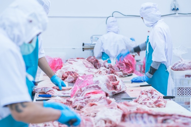 MCS Vágóhíd Kft has benefited from government efforts to promote pork consumption