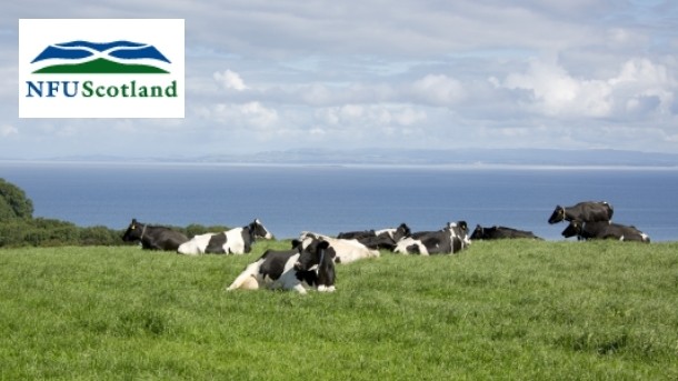 NFU Scotland is calling on milk purchasing companies to immediately increase the price being paid for milk from farmers following the upward trend in prices. Pic: ©iStock/Liquid_Light