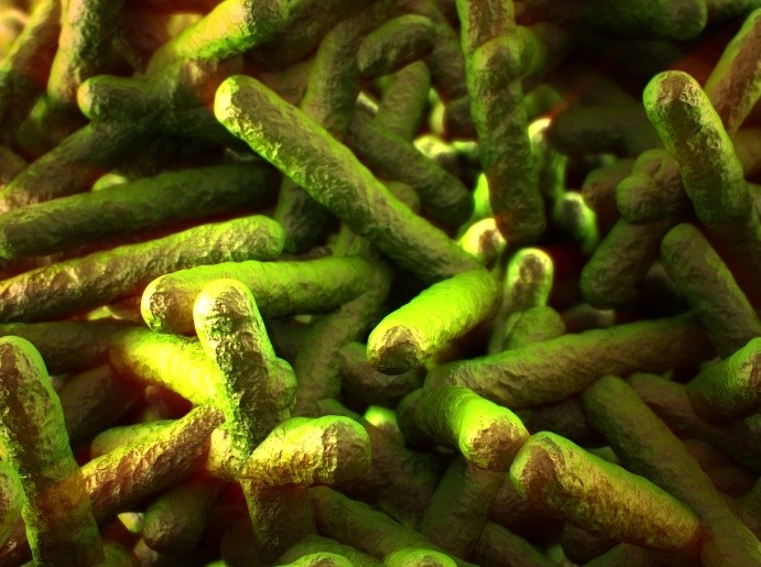Source of Listeria illnesses investigated in Italy