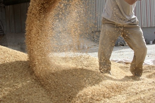 Origin Enterprises said it may make additional investment in animal feed