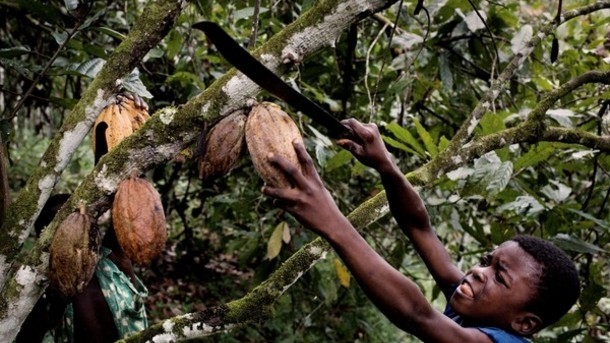 ‘The use of child slave labor in the ivory Coast is a humanitarian tragedy,’ and chocolate companies could be held to account, says senior circuit judge. Photo Credit - Make Chocolate Fair