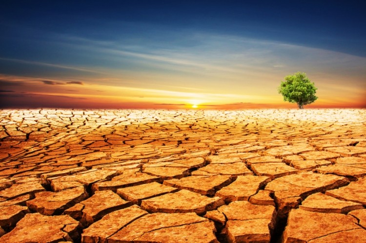 The impact of drought and other disasters on food production will be addressed with the new warning system. ©iStock